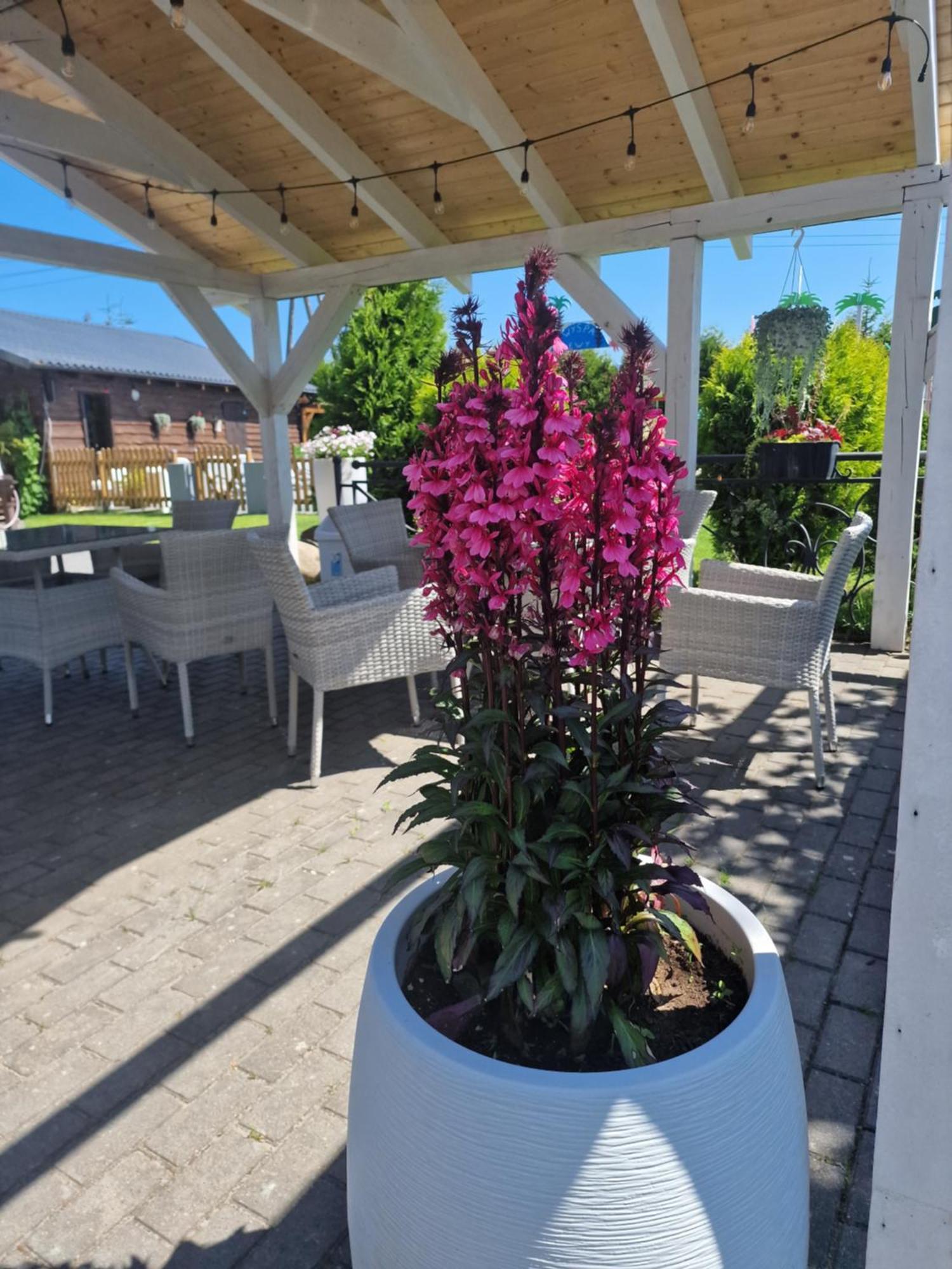 Villa Dolce Vita Леба Екстериор снимка